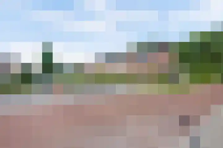 Prinses Margrietlaan 36 Angerlo thumbnail 41
