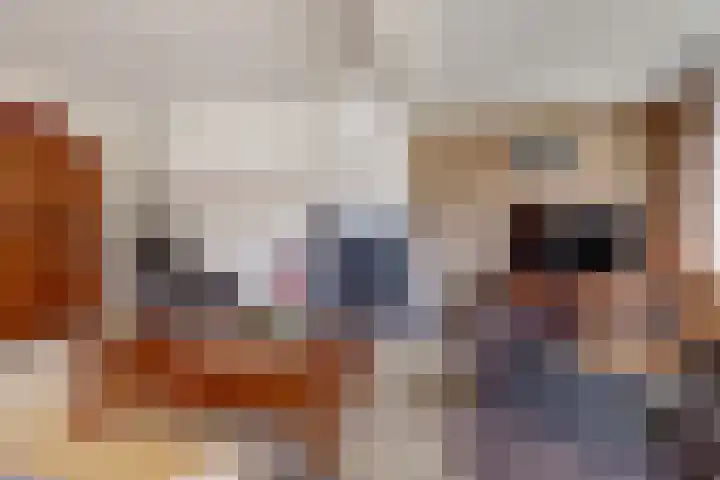 Prinses Margrietlaan 36 Angerlo thumbnail 6