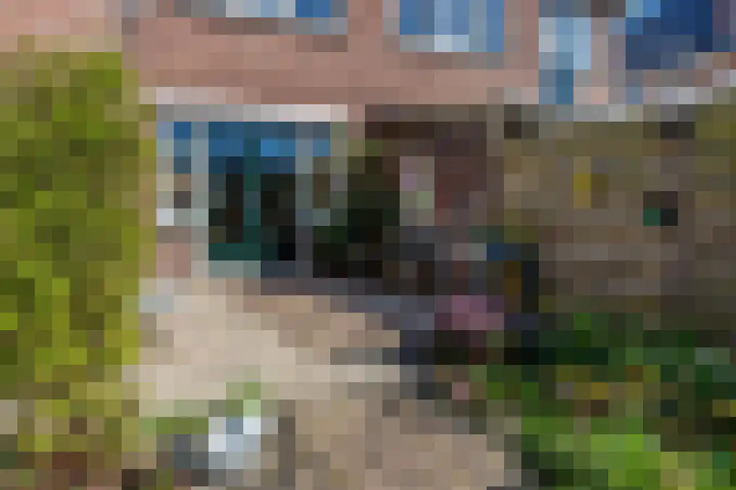Prinses Margrietlaan 4 Meppel thumbnail 37