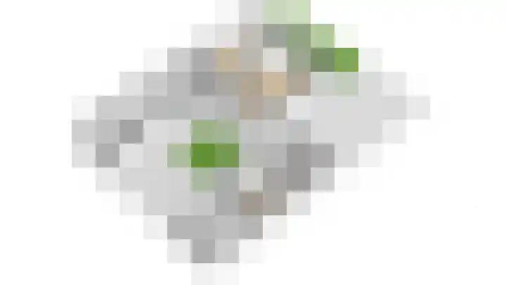Prinses Margrietlaan 4 Reuver thumbnail 64