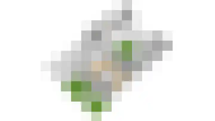 Prinses Margrietlaan 4 Reuver thumbnail 65