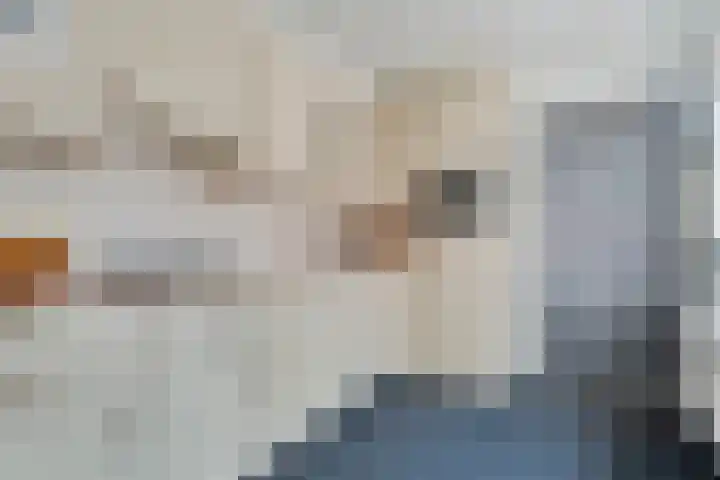 Prinses Margrietlaan 42 Slagharen thumbnail 11