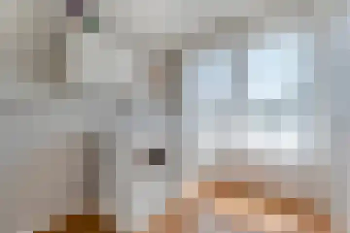 Prinses Margrietlaan 42 Slagharen thumbnail 19