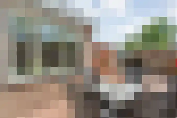 Prinses Margrietlaan 42 Slagharen thumbnail 30