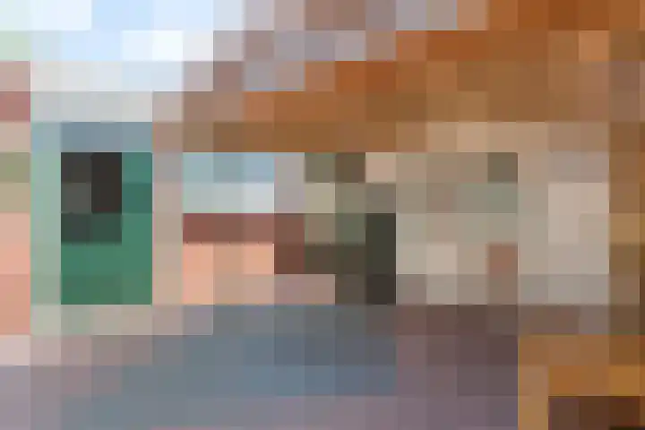 Prinses Margrietlaan 42 Slagharen thumbnail 31