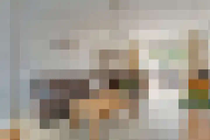Prinses Margrietlaan 42 Slagharen thumbnail 8