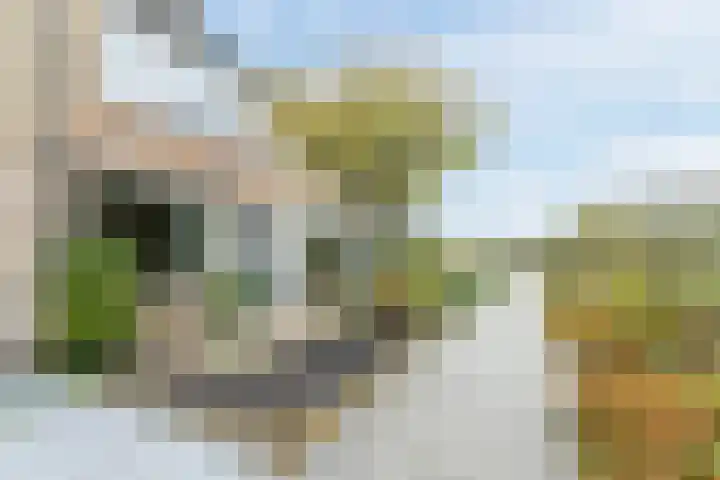 Prinses Margrietlaan 6 Egmond aan den Hoef thumbnail 5