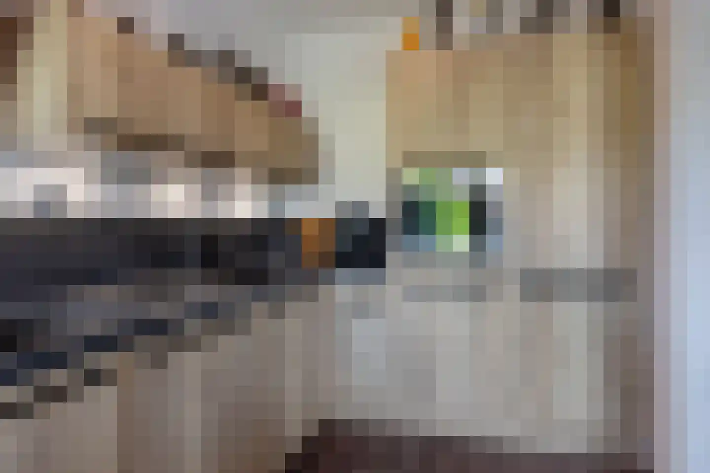 Prinses Margrietlaan 7 Koekange thumbnail 10
