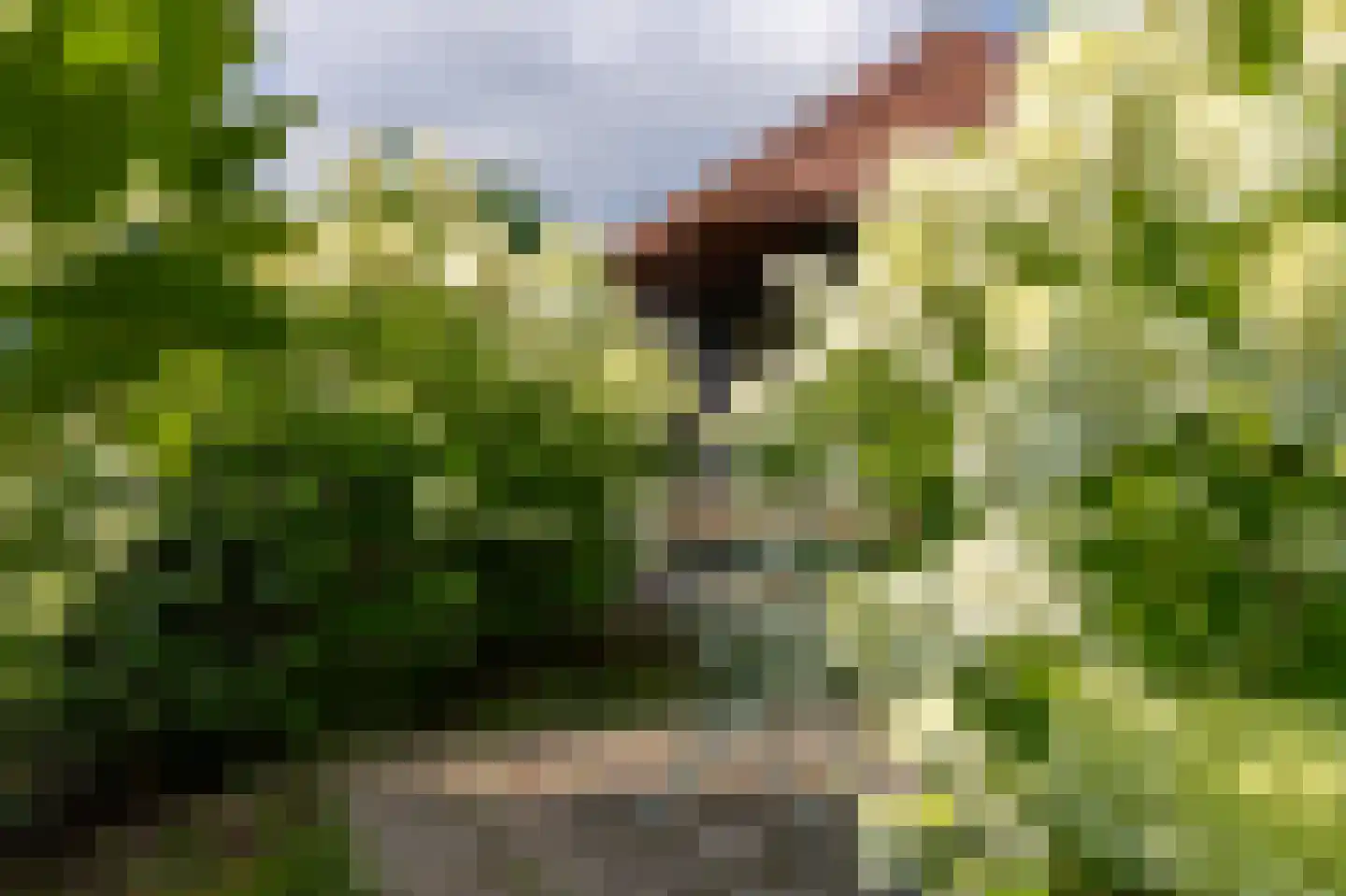 Prinses Margrietlaan 7 Koekange thumbnail 31