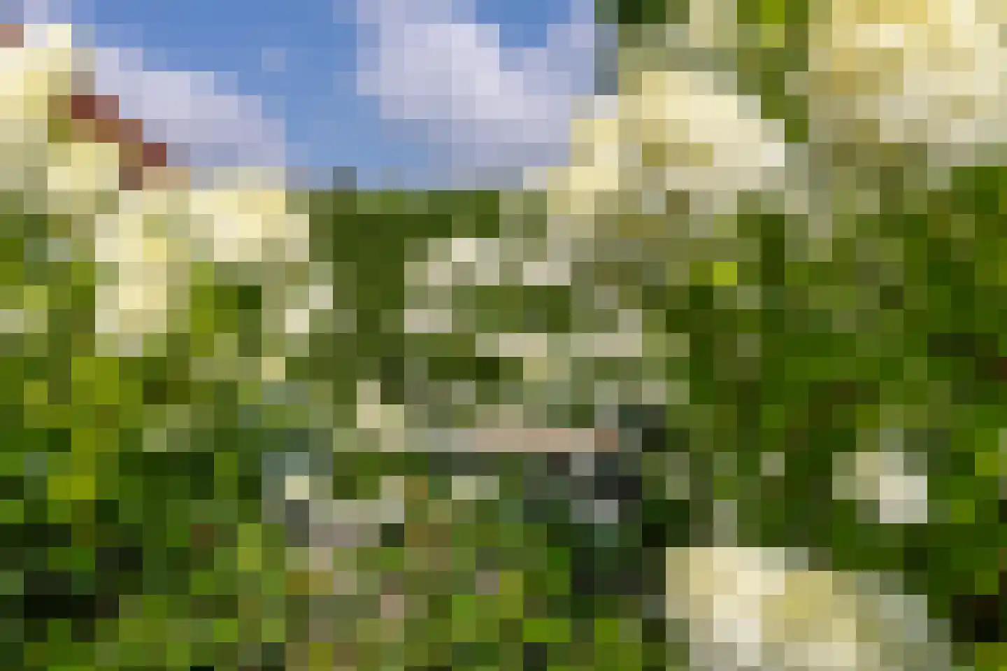 Prinses Margrietlaan 7 Koekange thumbnail 32