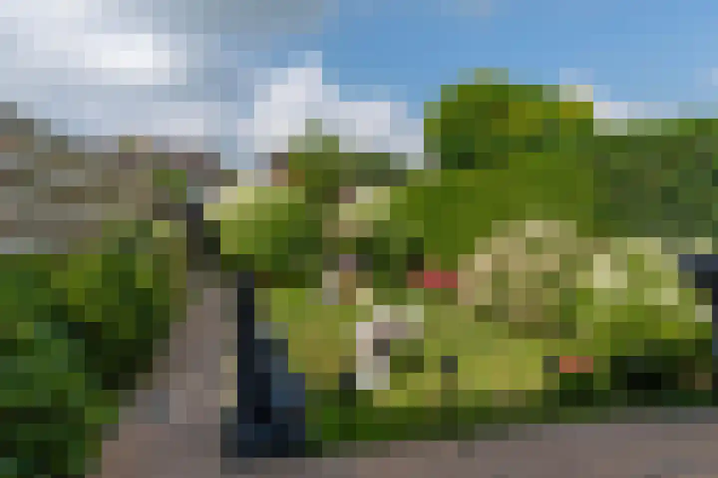 Prinses Margrietlaan 7 Koekange thumbnail 4