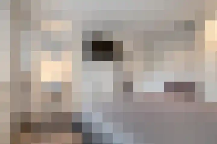 Prinses Margrietlaan 7 Meppel thumbnail 17