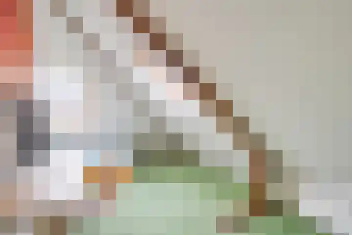 Prinses Margrietlaan 7 Meppel thumbnail 28