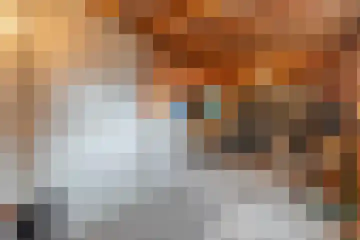 Prinses Margrietlaan 7 Meppel thumbnail 33