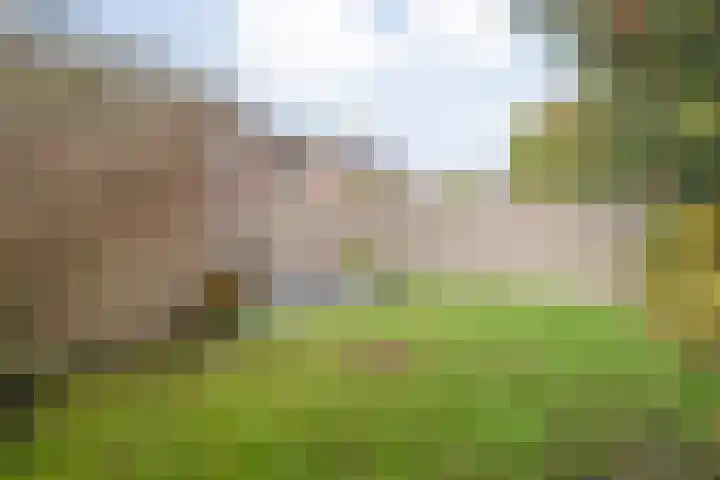 Prinses Margrietlaan 7 Meppel thumbnail 34