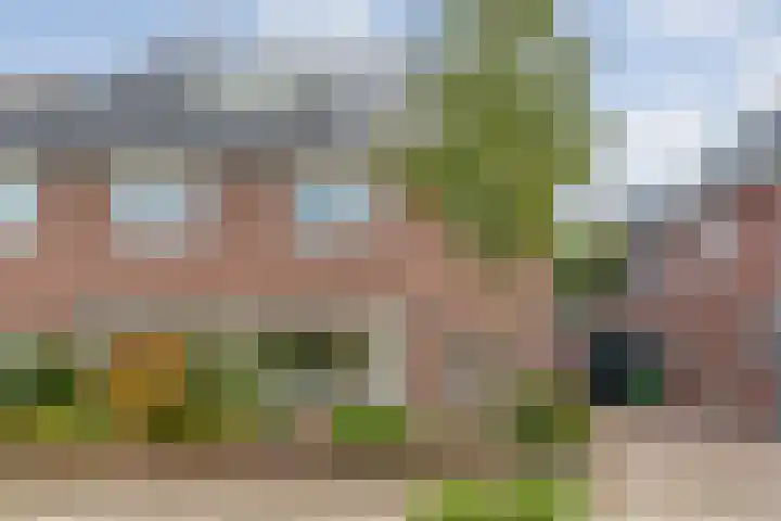 Prinses Margrietlaan 7 Meppel thumbnail 38