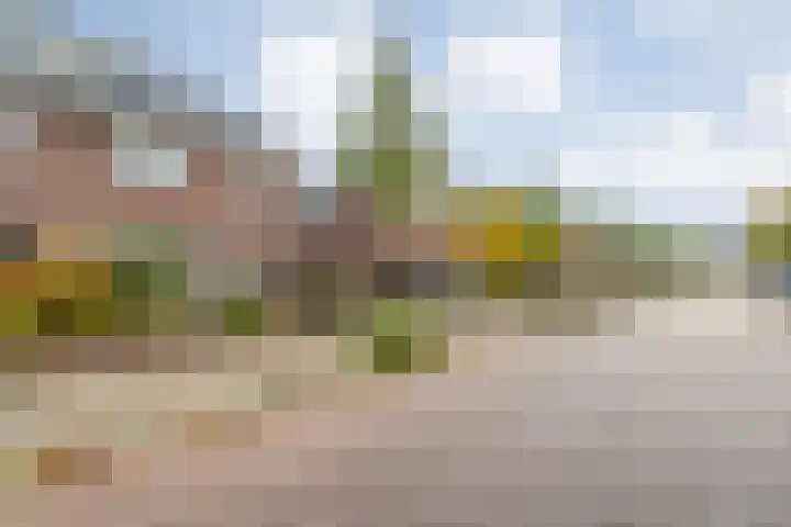 Prinses Margrietlaan 7 Meppel thumbnail 41