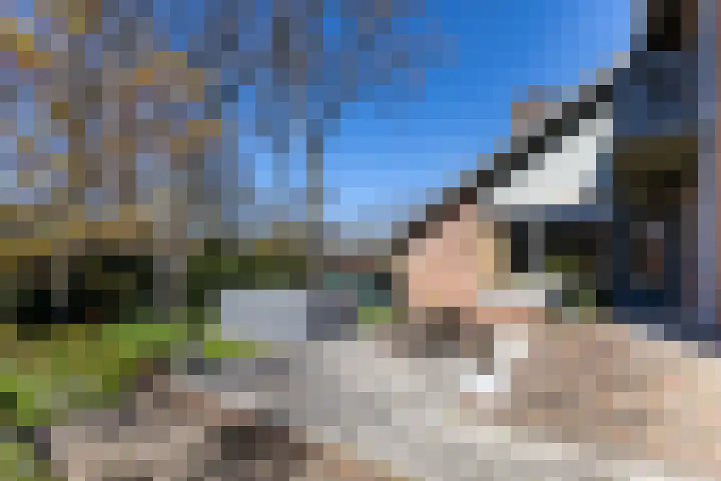 Prinses Margrietlaan 7 Putte thumbnail 73