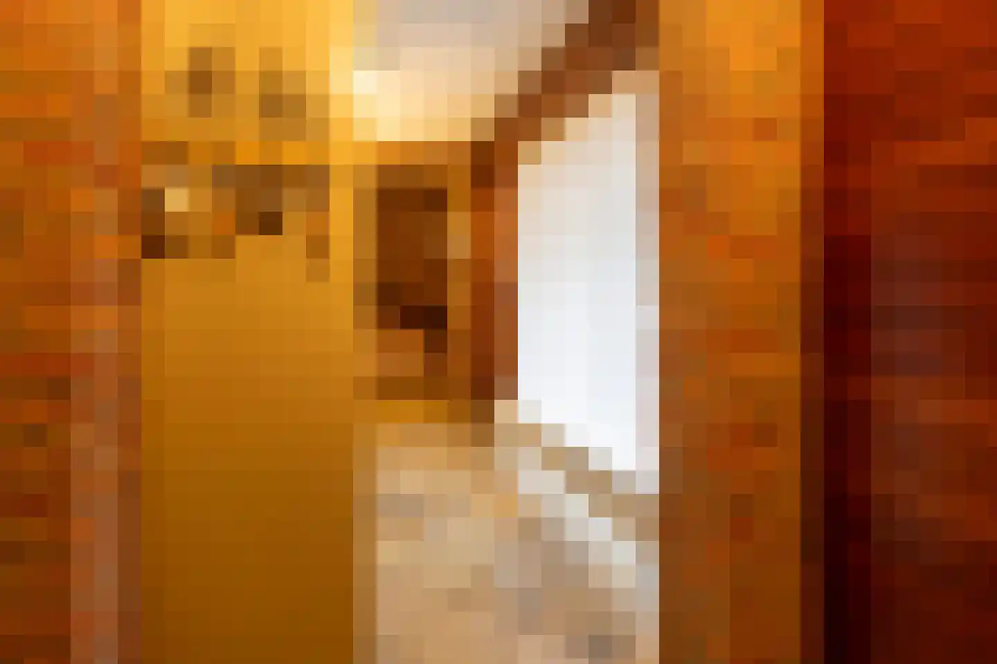 Prinses Margrietlaan 7 Putte thumbnail 9