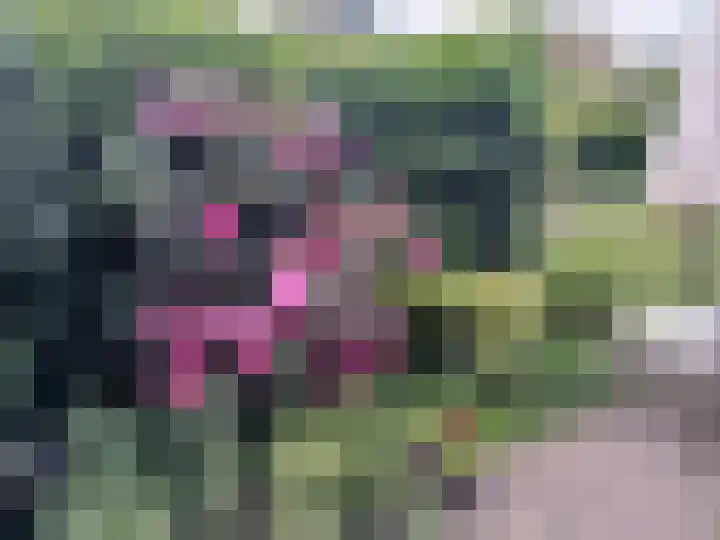 Prinses Margrietlaan 8 Meppel thumbnail 52