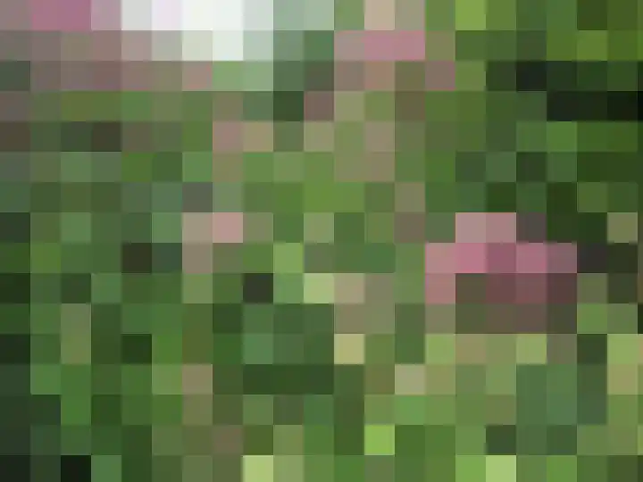 Prinses Margrietlaan 8 Meppel thumbnail 56