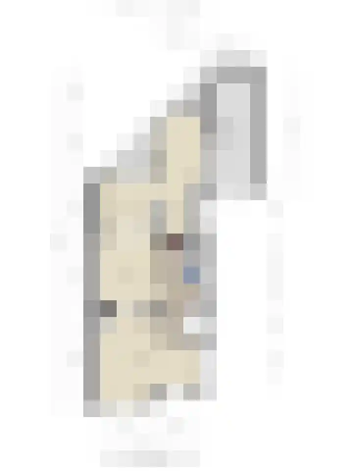 Prinses Margrietlaan 8 Meppel thumbnail 64