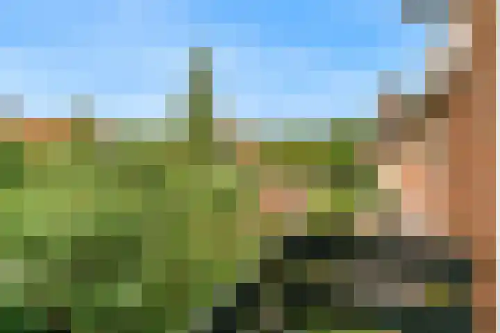 Prinses Margrietlaan 8 Oegstgeest thumbnail 27