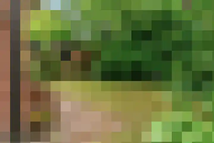 Prinses Margrietlaan 8 Oegstgeest thumbnail 42