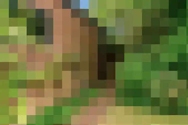 Prinses Margrietlaan 8 Oegstgeest thumbnail 44