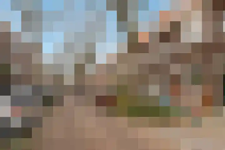Prinses Margrietlaan 87 B Rotterdam thumbnail 36