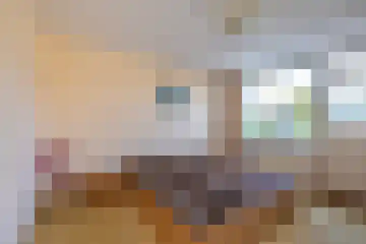 Prinses Margrietplantsoen 1 Hillegom thumbnail 17