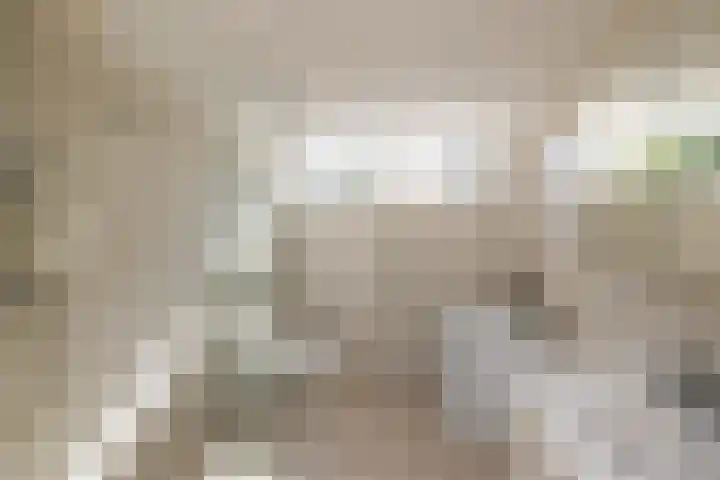 Prinses Margrietplantsoen 1 Hillegom thumbnail 4