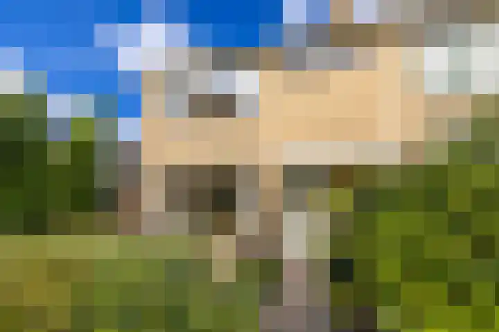 Prinses Margrietplantsoen 1 Hillegom thumbnail 6