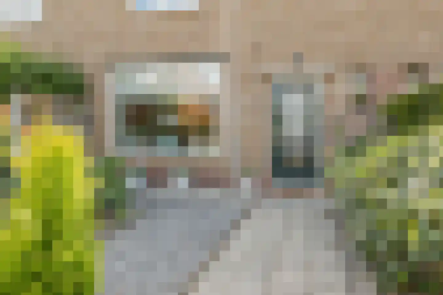 Prinses Margrietplantsoen 60 Bussum thumbnail 6