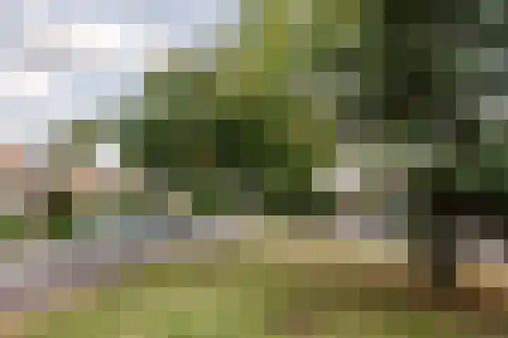Prinses Margrietplantsoen 68 Bussum thumbnail 40
