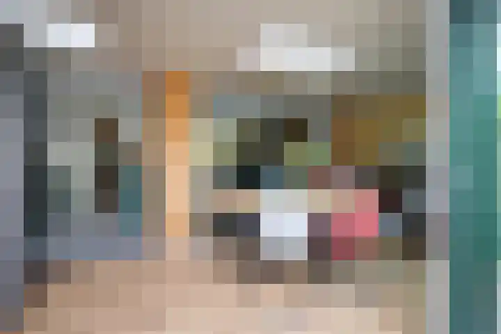Prinses Margrietsingel 102 Rijswijk thumbnail 15