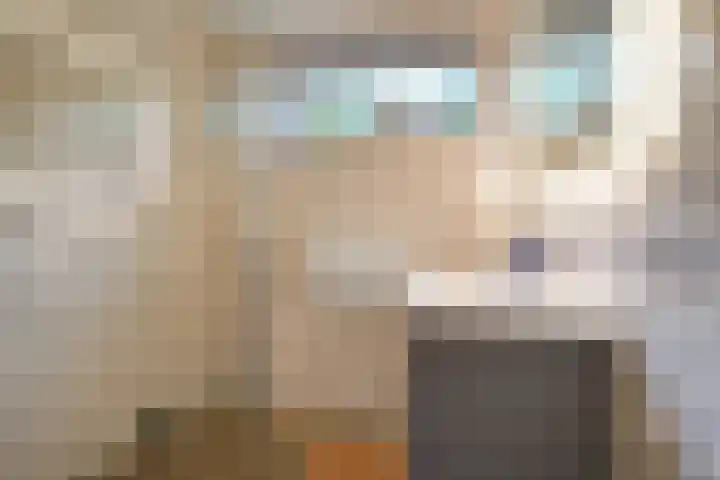 Prinses Margrietsingel 102 Rijswijk thumbnail 30