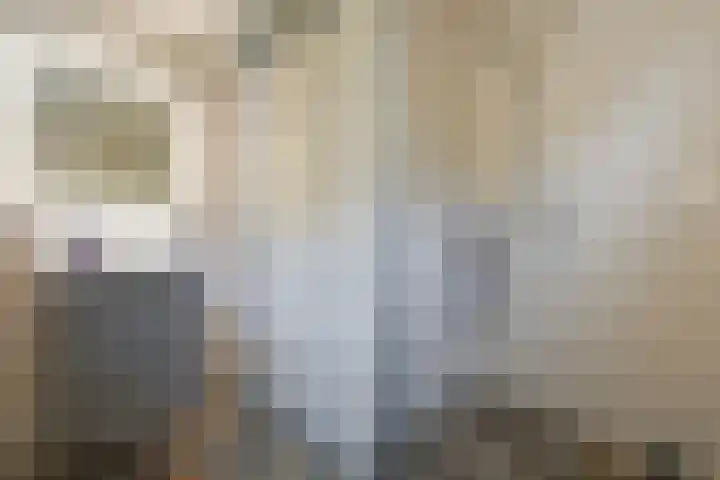 Prinses Margrietsingel 102 Rijswijk thumbnail 31
