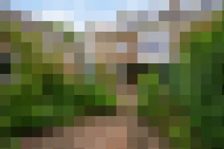 Prinses Margrietsingel 102 Rijswijk thumbnail 4