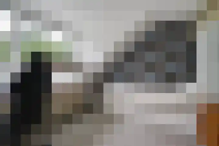 Prinses Margrietsingel 102 Rijswijk thumbnail 41
