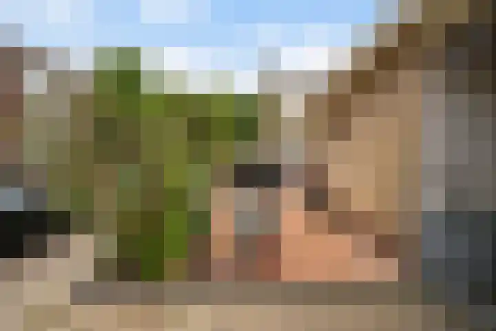 Prinses Margrietsingel 102 Rijswijk thumbnail 48