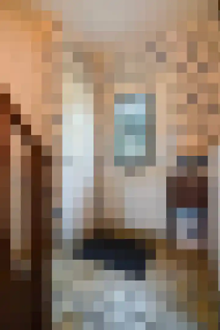 Prinses Margrietsingel 102 Rijswijk thumbnail 8