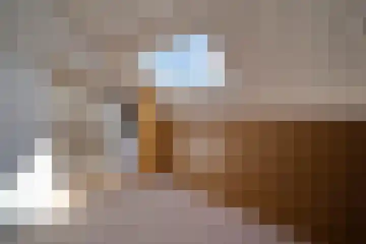 Prinses Margrietsingel 14 Rijswijk thumbnail 27