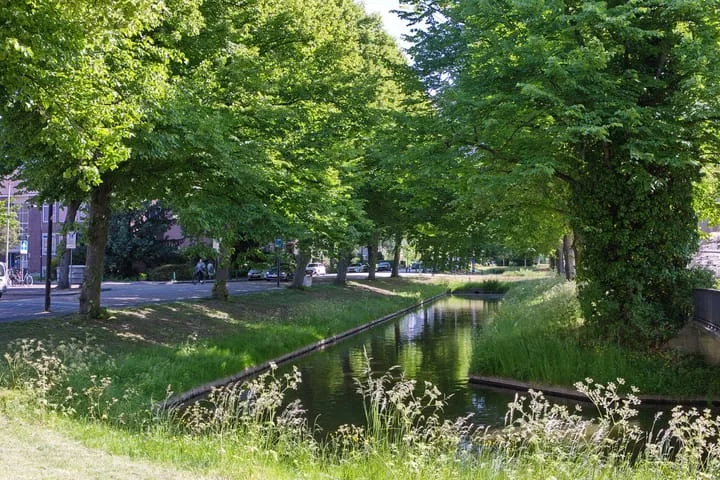 Prinses Margrietsingel 14 Rijswijk thumbnail 4