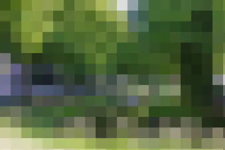 Prinses Margrietsingel 14 Rijswijk thumbnail 4