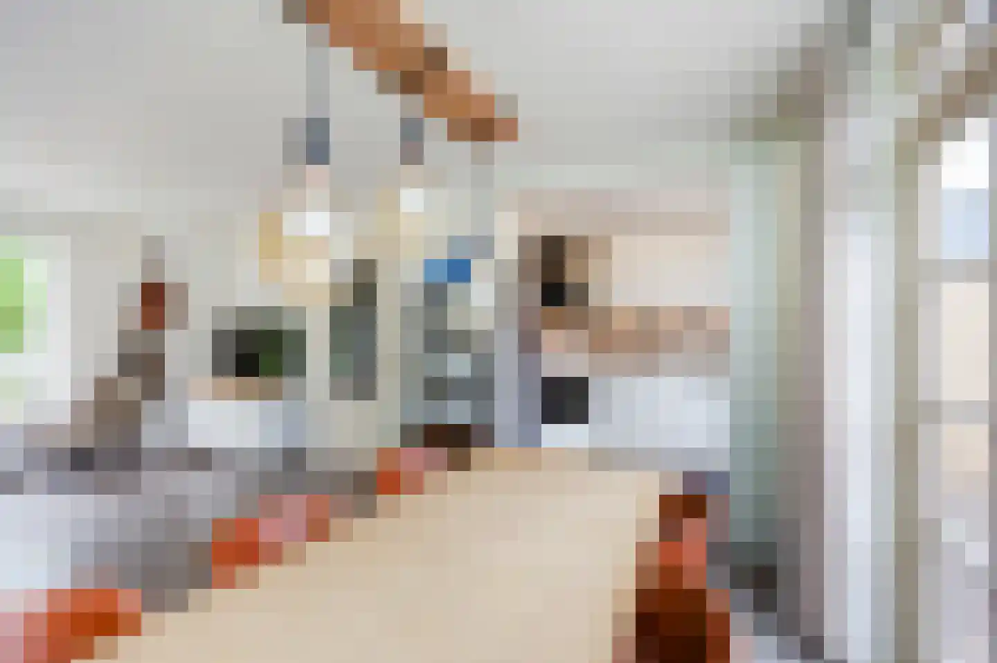 Prinses Margrietstraat 1 Koudekerk aan den Rijn thumbnail 10
