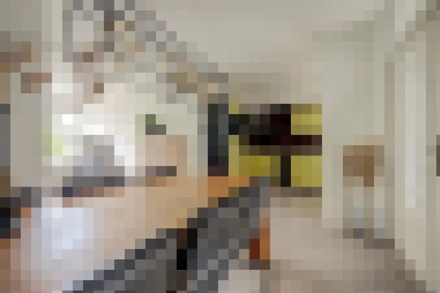 Prinses Margrietstraat 1 Millingen aan de Rijn thumbnail 11
