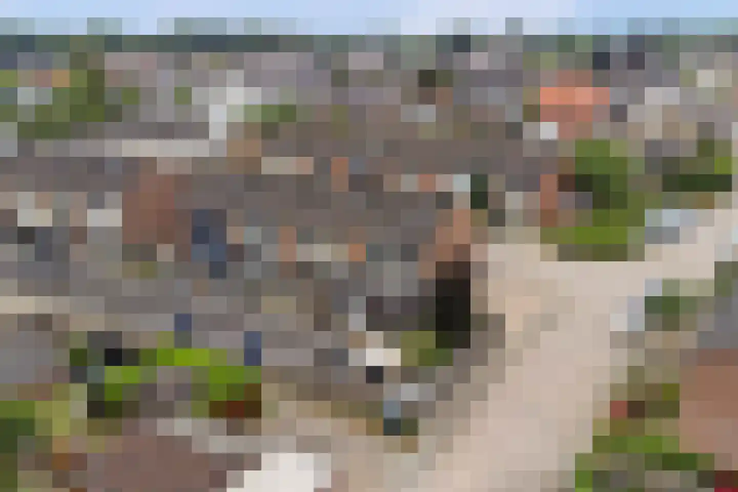 Prinses Margrietstraat 1 Millingen aan de Rijn foto 3
