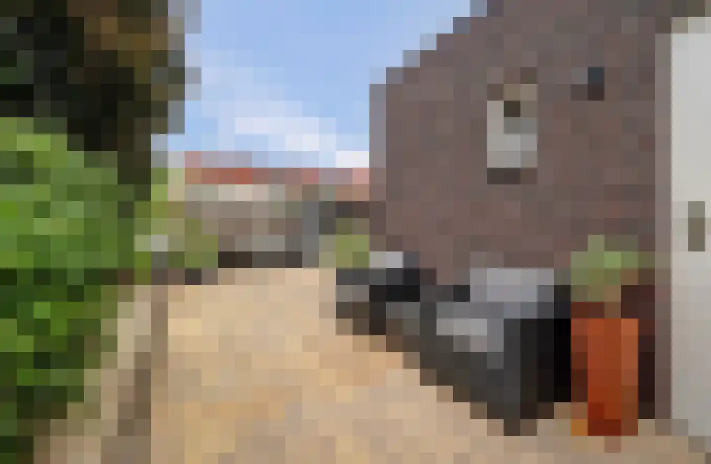 Prinses Margrietstraat 1 Millingen aan de Rijn thumbnail 32