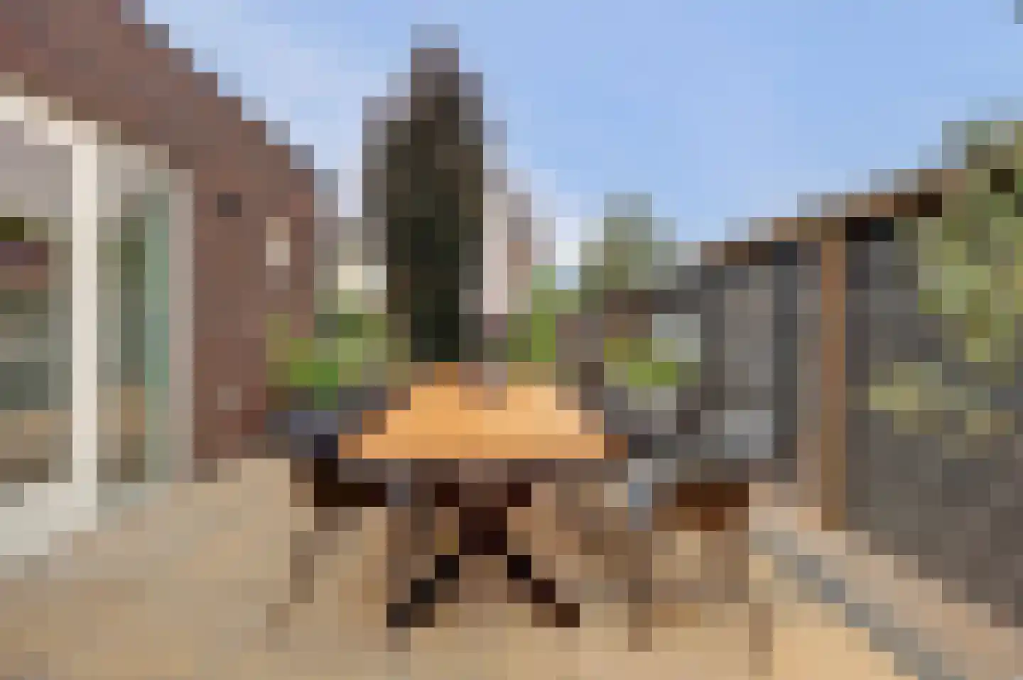 Prinses Margrietstraat 1 Millingen aan de Rijn thumbnail 34